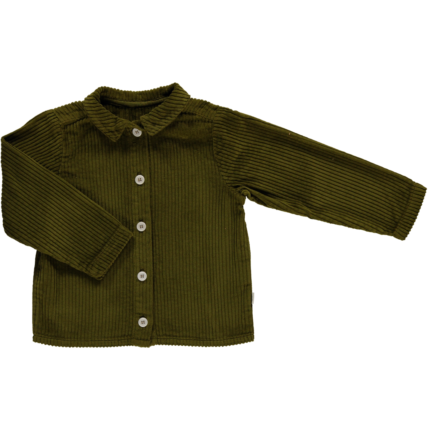 Camisa BELLADONE VELOURS CÔTELÉ