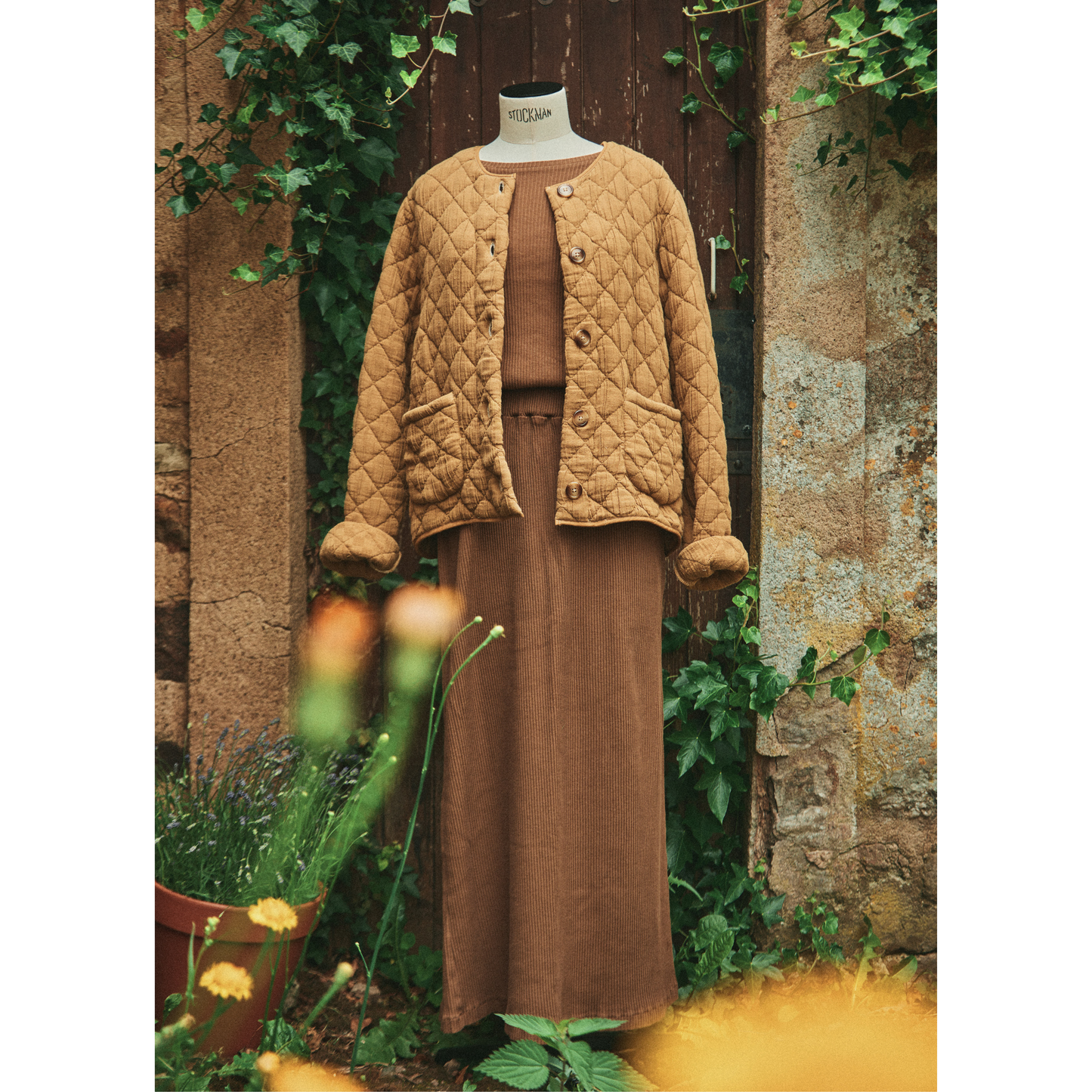 Chaqueta ANIS ADULTE
