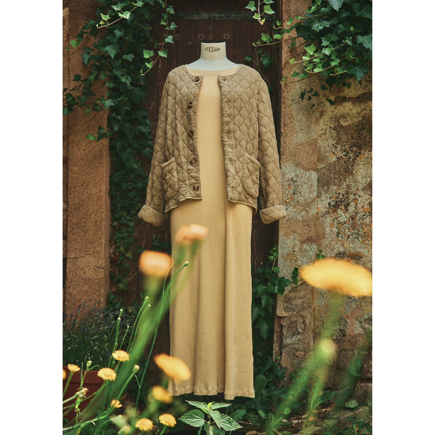 Chaqueta ANIS ADULTE